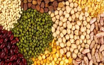 کشف ۲۱ تن انواع حبوبات احتکار شده در شهرستان رودان