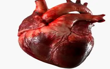 
علائم مهم گرفتگی رگ‌های قلب!