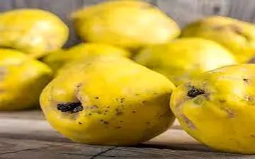 فصل میوه قاتل فشار خون بالا فرا رسید / هزاران نفر در پاییز با این شاه میوه درمان شده اند 