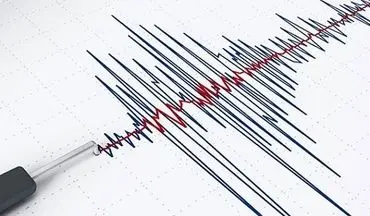 زمین‌لرزه ۷ ریشتری اندونزی را لرزاند