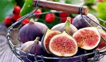 بررسی علمی یک شایعه؛ در انجیری که می خورید، زنبور مرده وجود دارد؟