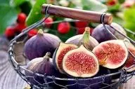 بررسی علمی یک شایعه؛ در انجیری که می خورید، زنبور مرده وجود دارد؟