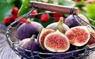 بررسی علمی یک شایعه؛ در انجیری که می خورید، زنبور مرده وجود دارد؟