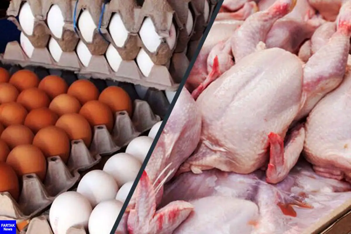 صادرات مرغ و تخم مرغ به عراق آزاد شد 