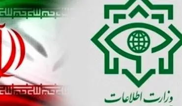  انهدام شبکه مفسدان ارز دولتی توسط وزارت اطلاعات/ ۱۱ نفر بازداشت شدند