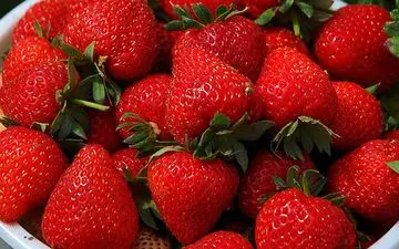 فواید توت فرنگی برای سلامتی موی سر 