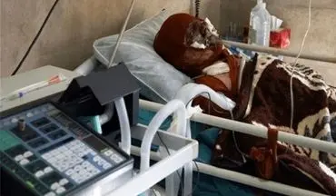 
حادثه مرگبار در دامغان / یک کارگر جان باخت
