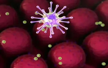 افزایش سویه جدید کرونا در کودکان