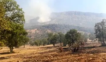 شناسایی و بازداشت عامل حریق مناطق سبزکوه و ارمند