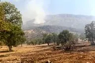 شناسایی و بازداشت عامل حریق مناطق سبزکوه و ارمند