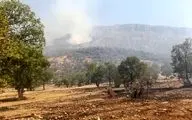 شناسایی و بازداشت عامل حریق مناطق سبزکوه و ارمند