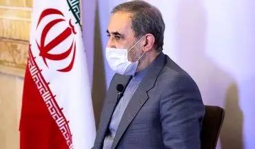 ولایتی: امنیت ایران بدون آرامش همسایگان ممکن نیست