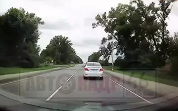 فرار لحظه آخری راننده از سقوط درخت