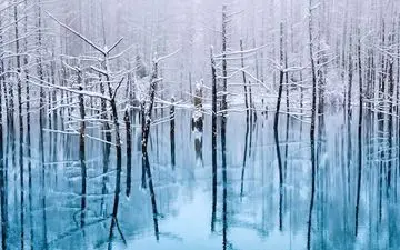  عکس منتخب نشنال جئوگرافیک | زمستان زودهنگام