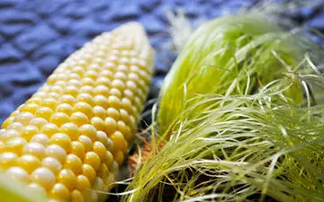 با این روش سنگ کلیه را صبح پودر و شب دفع کن