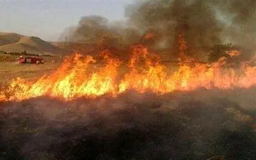 5 هکتار از اراضی کشاورزی اسلام آبادغرب طعمه حریق شد  