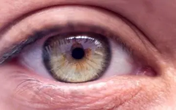 یافته‌های جدید دانشمندان درباره تأثیر رژیم‌های گیاهی بر حفظ سلامت بینایی