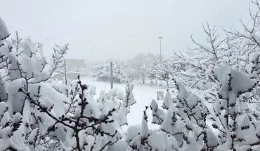  اهر و ورزقان نیم متر زیر برف رفت/ روستاها در محاصره برف