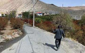 
توسعه املش بر مبنای توسعه روستامحور شکل بگیرد
