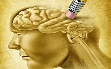 ویروسی که نقش کلیدی در ابتلا به آلزایمر دارد