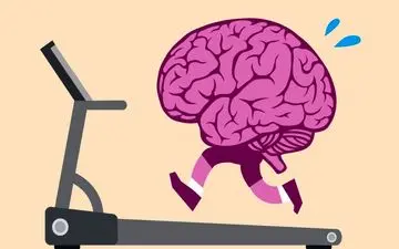 مغزِ جوان در بدنِ پیر/ رازِ جوانیِ دائمیِ مغزتان را کشف کنید