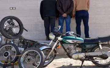 پایان قدرتنمایی سارق قمه به دست مقابل پلیس / بازداشت زورگیر خشن در شهرری 