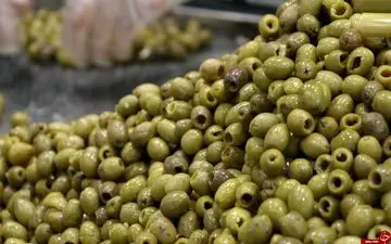 پوکی استخوان را با مصرف زیتون شکست دهید