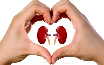 از کجا بفهمیم مشکل کلیه داریم؟علت تشکیل سنگ کلیه چیست؟