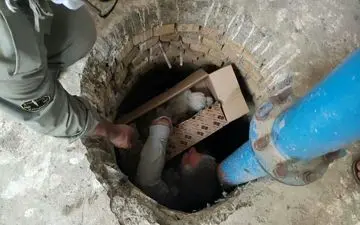 نجات 2 بهله جغد سفید در سرپل ذهاب