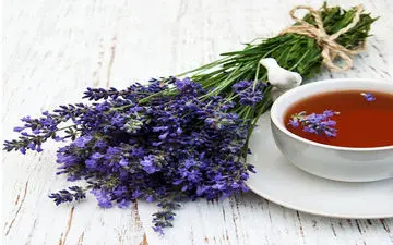 آشنایی با خواص ضد باکتریایی مرزه 
