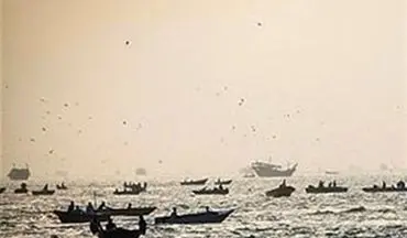 ۸۷۰ قایق صیادی استان بوشهر مجوز صید میگو دریافت کردند