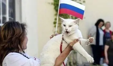  گربه آرمیتاژ و پیش بینی جام جهانی روسیه