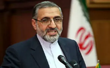 تذکر سخنگوی قوه قضایی در خصوص قرارداد استراماچونی و ویلموتس