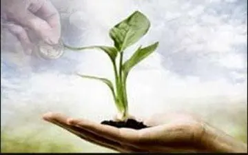 
اثرات صدقه در زندگی انسان
