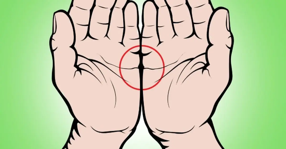 فال کف بینی؛ خطوط کف دست سرنوشت شما را نشان می دهد / خطوط کف دست نشانه چیست!؟