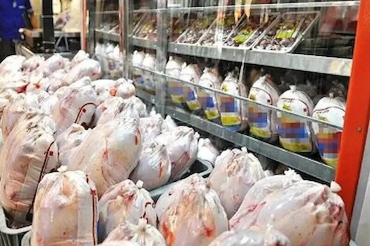 کشف بیش از هشت تن گوشت مرغ قاچاق در لرستان