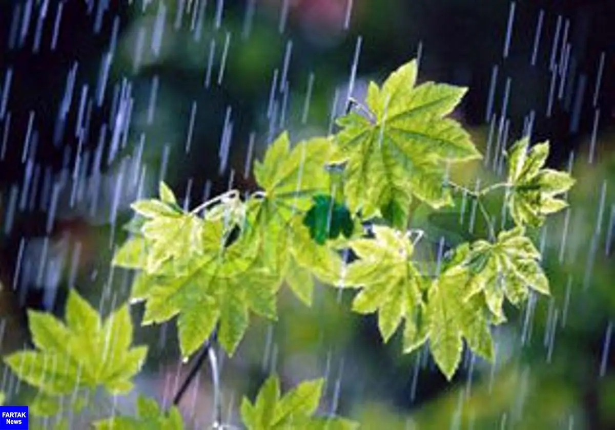 بارندگی شدید 15 شهرستان خراسان رضوی را فراگرفت