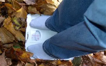  چرا در فصل پاییز چاق می‌شویم؟ 