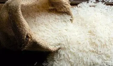 پیش‌بینی کاهش قیمت برنج با ورود محصول امسال و وارداتی در آینده نزدیک