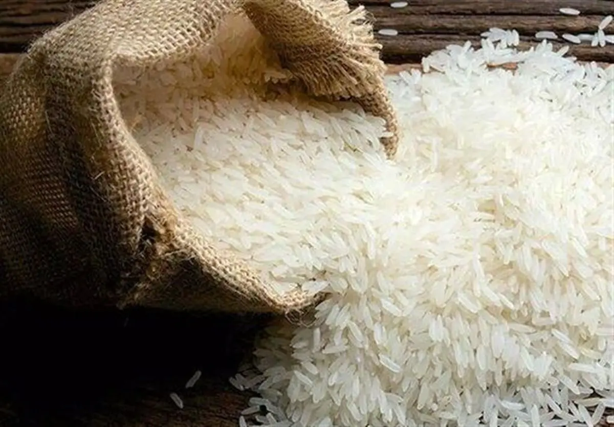 پیشبینی کاهش قیمت برنج با ورود محصول امسال و وارداتی در آینده نزدیک