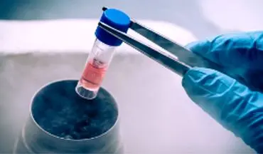 در مورد فریز تخمک بیشتر بدانید!