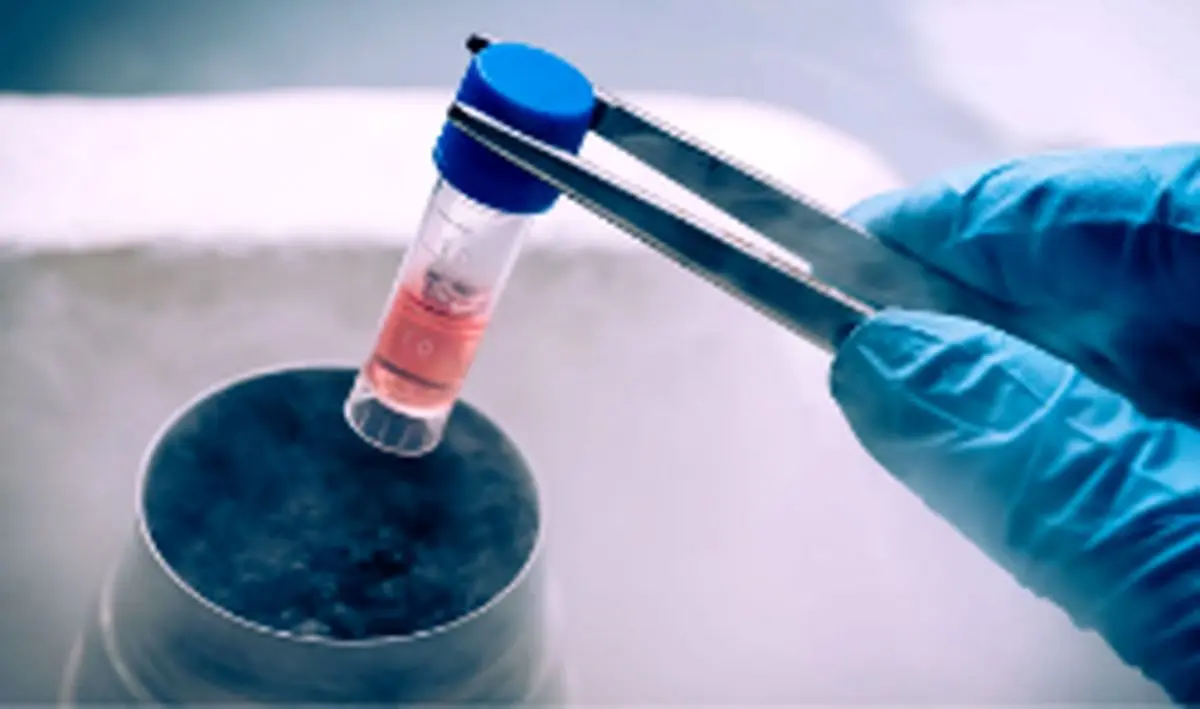 در مورد فریز تخمک بیشتر بدانید!