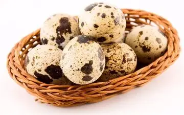 تخم بلدرچین و اینهمه خاصیت باورنکردنی! 