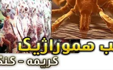 
مرگ مادر باردار با بیماری تب کنگو در حال بررسی