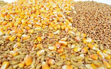 جدیدترین نرخ نهاده‌های دامی و محصولات کشاورزی | ۹ شهریور ۱۴۰۴