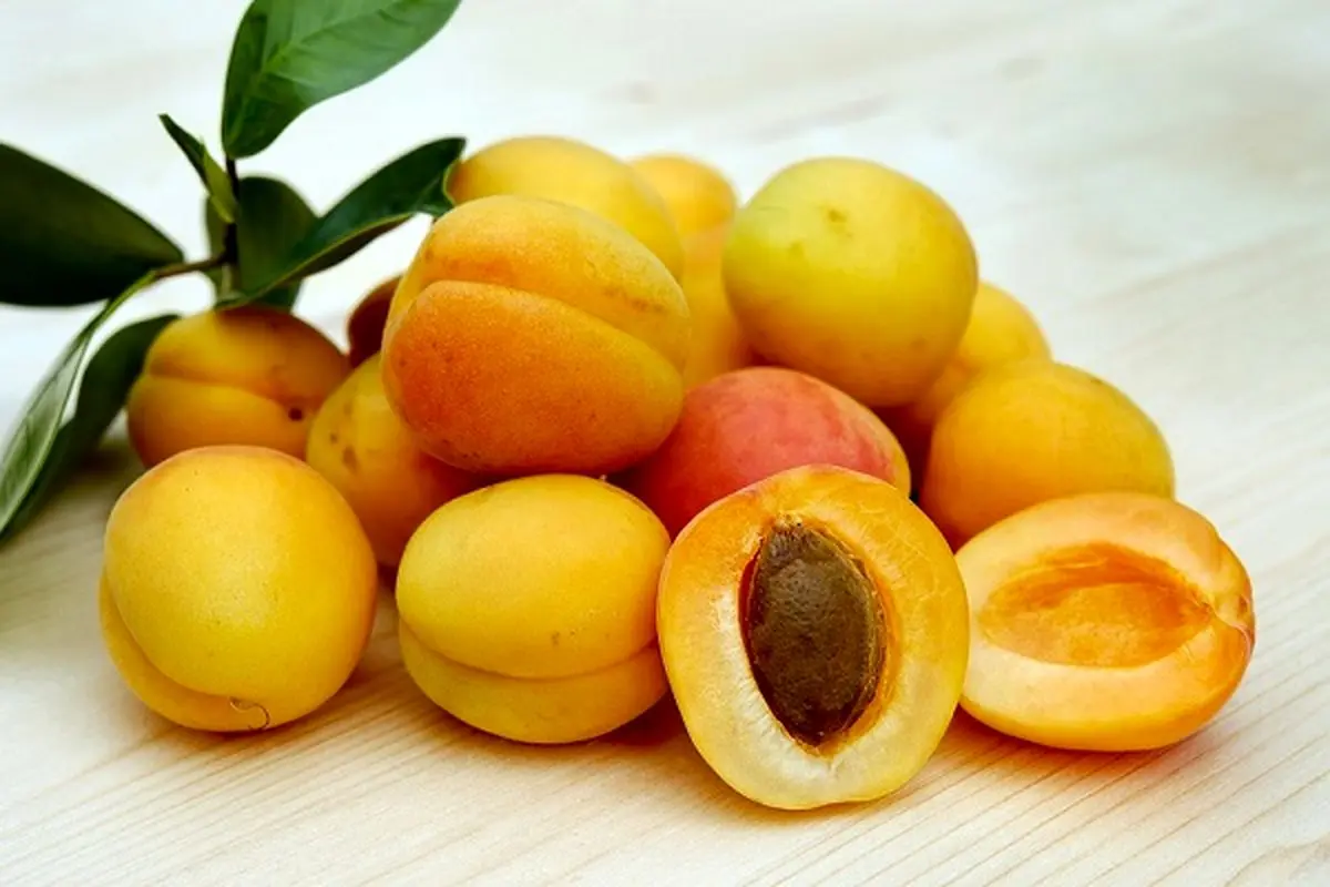 مصرف این میوه در ماه رمضان معجزه می کند!