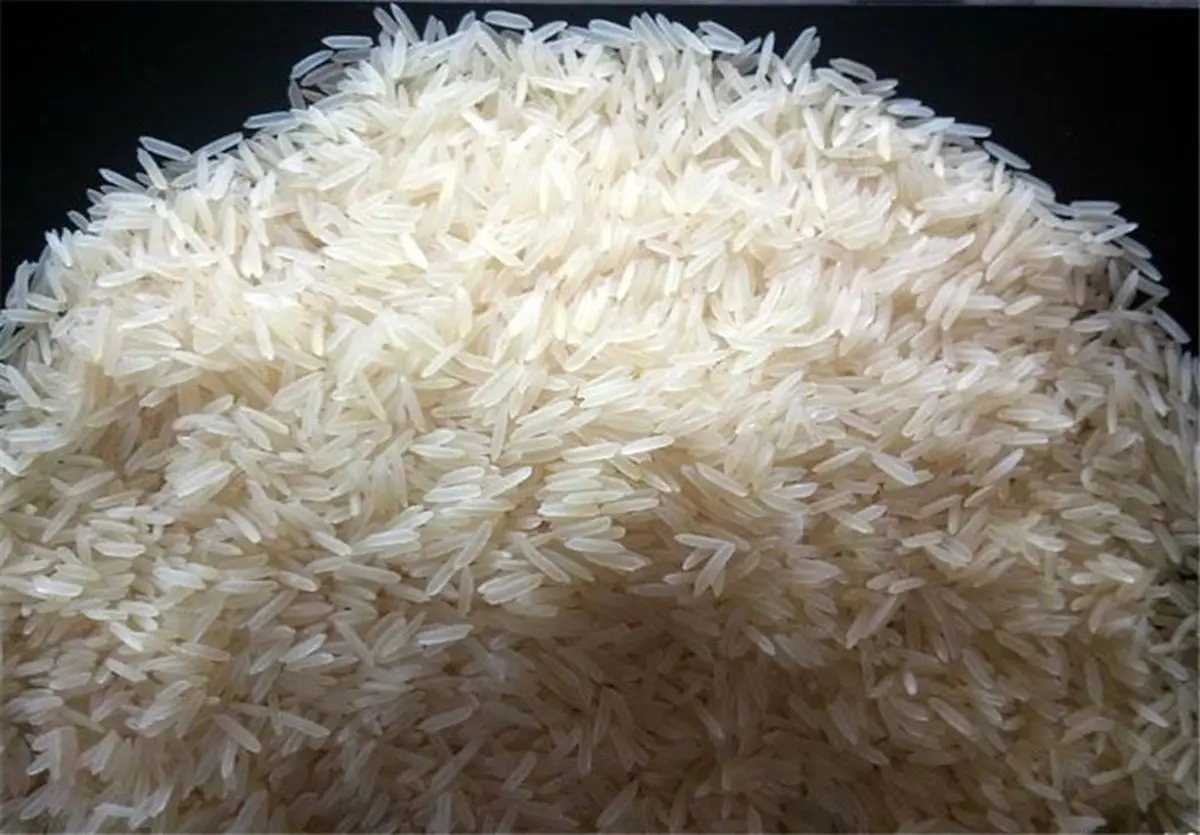  نوعی برنج هندی، عنوان بلندترین برنج دنیا را به خود اختصاص داده است