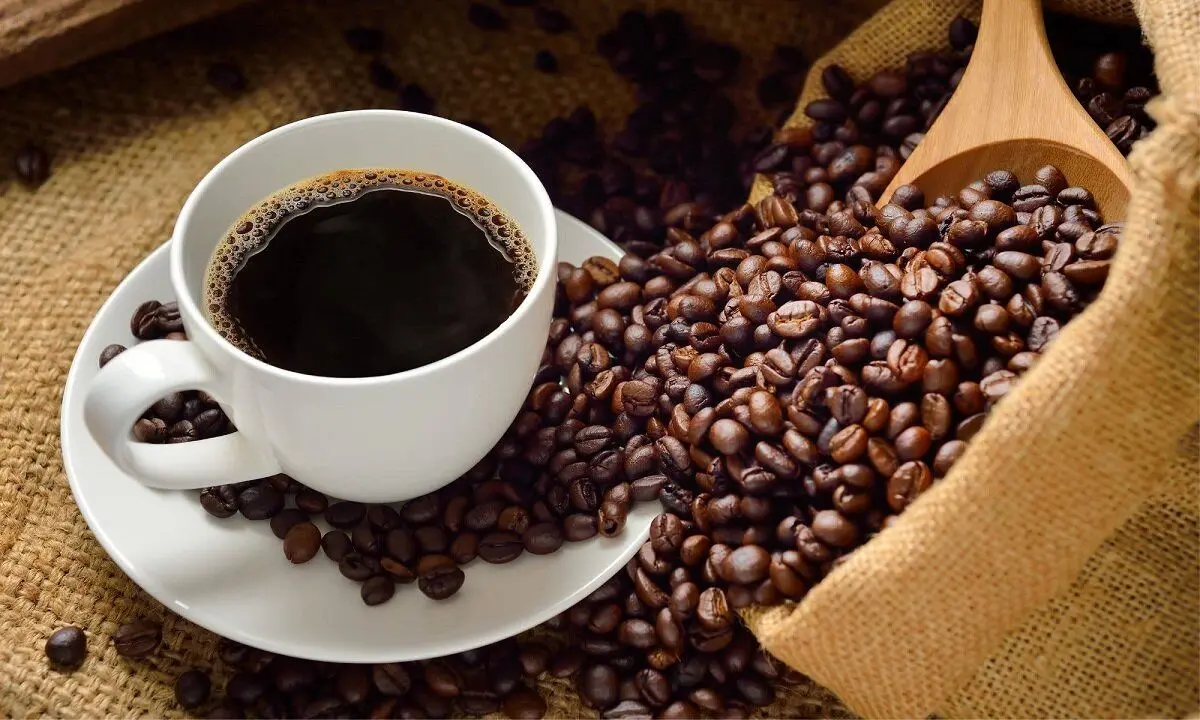 هشدار جدی: قهوه غلیظ و پرکافئین، قاتل پنهان قلب و اعصاب شما