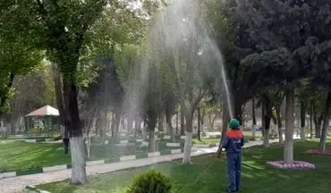 آغاز عملیات سم‌پاشی درختان نارون شهر کرمانشاه