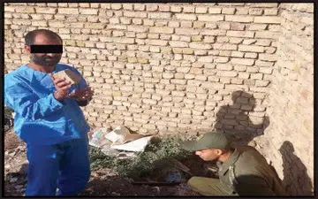 راز ۱۵ ساله یک زن، جوان بی گناه را به کام مرگ کشاند